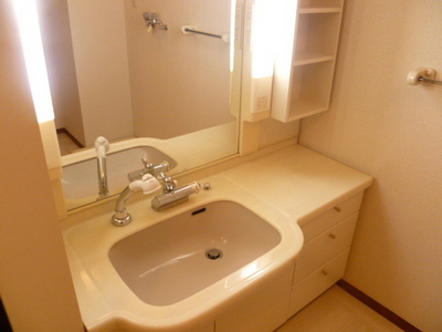 Washroom. Wash basin ☆