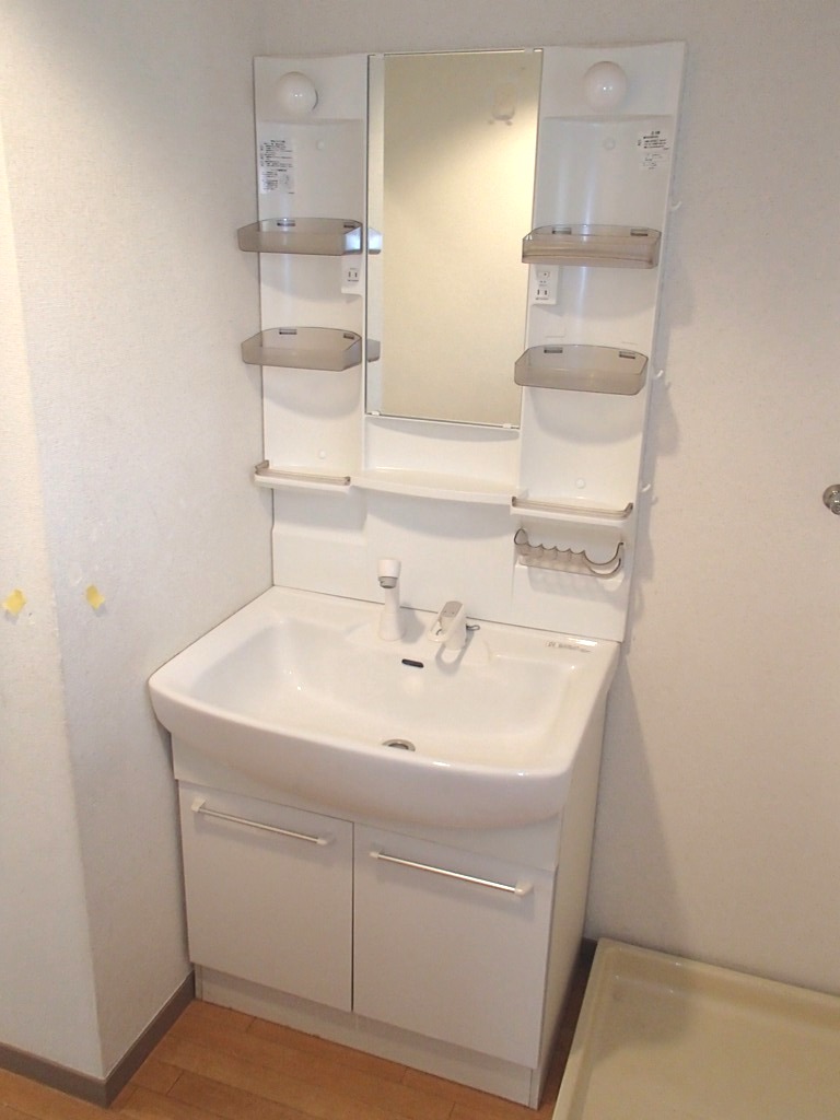 Washroom. Shampoo Dresser