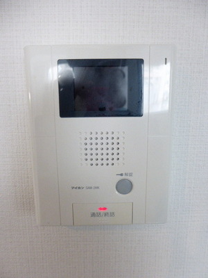 Security. Color monitor with intercom