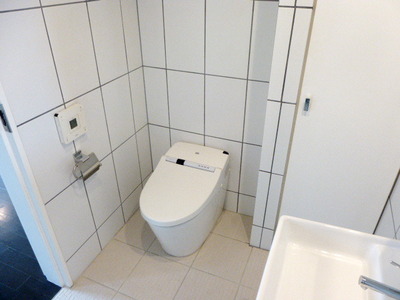 Toilet. Storage space is there in the toilet