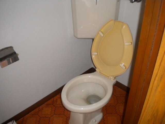 Toilet