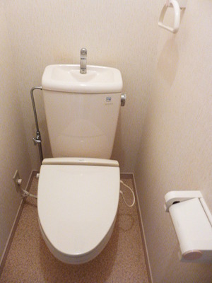 Toilet. Toilet