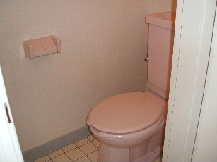 Toilet. Here of the toilet is also visible in the pink?