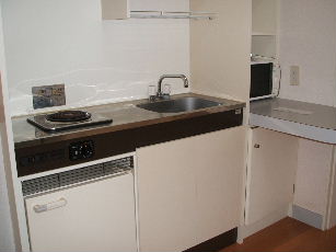 Kitchen. It is an electric stove, but can be changed to IH by hope