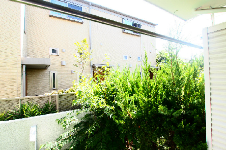 Balcony. Views to be healed in green shining bathed in the light of the sun