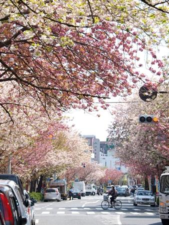 Streets around. Sakurashinmachi 800m to the shopping street