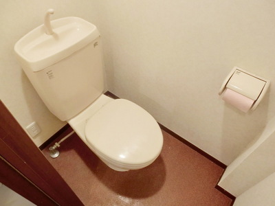 Toilet. It is a toilet with a clean