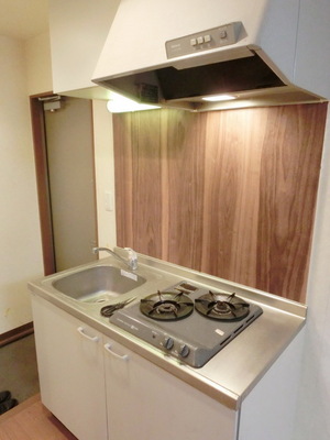 Kitchen. Stylish two-burner gas stove system kitchen of wood panel