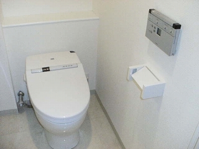 Toilet. Toilet