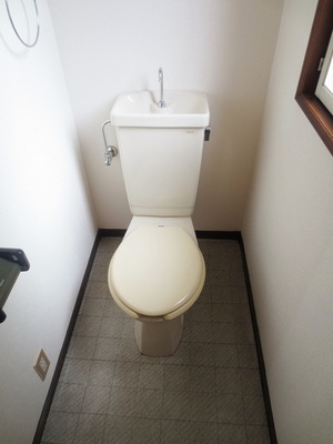 Toilet. Spacious toilet