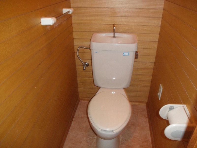 Toilet