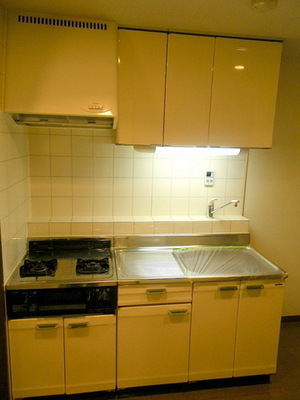 Kitchen. Convenient 2-neck installation Allowed kitchen cooking