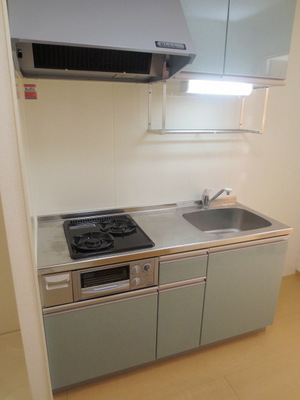 Kitchen. Two-necked gas stove system Kitchen