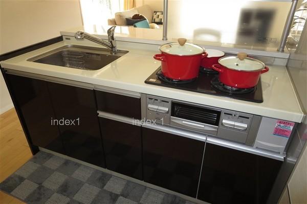 Kitchen. Dishes Hakadori likely in the 3-burner stove