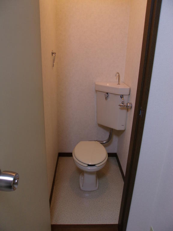 Toilet. It is another toilet