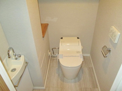 Toilet. Washlet toilet