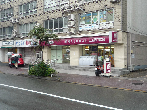 Convenience store. Natural Lawson Yoga 4-chome store (convenience store) to 493m