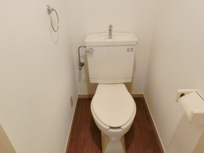 Toilet. It is a toilet with a clean