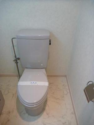 Toilet. Toilet space of spread