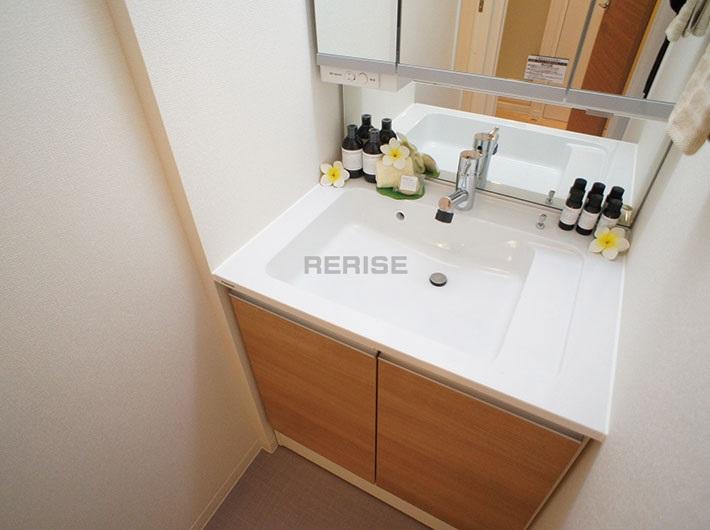 Wash basin, toilet. Vanity with a shower head