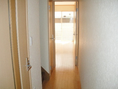 Entrance. Space of the corridor is from the front door