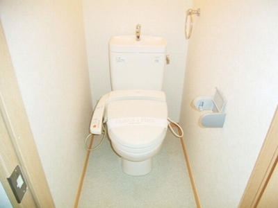 Toilet. Toilet