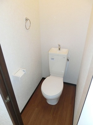 Toilet. A clean space toilet