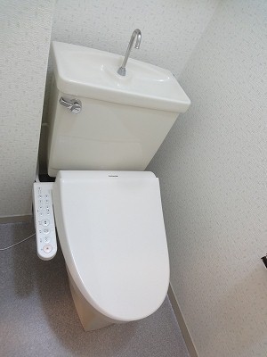 Toilet. Shower toilet