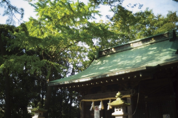 Shinmei Shrine convey ancient history to now (940m)