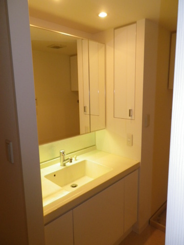 Washroom. Bathroom vanity