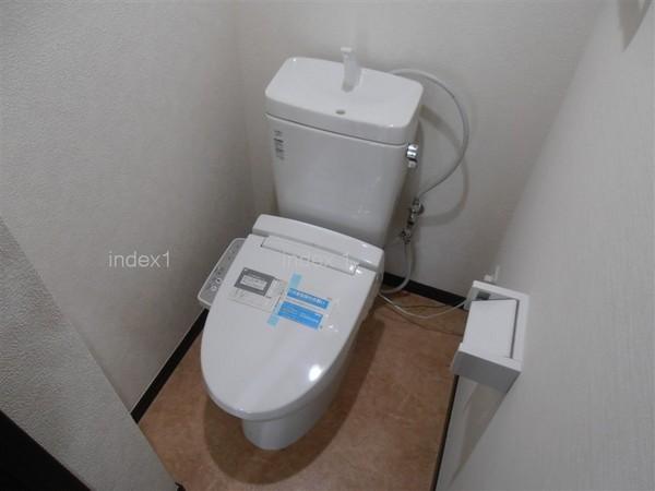 Toilet. Washlet toilet