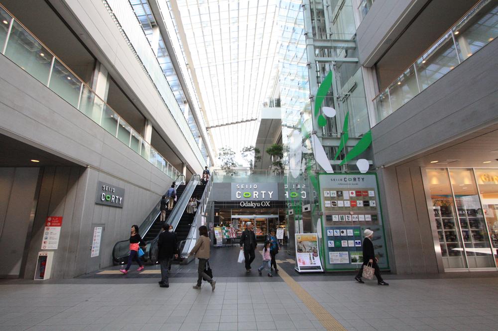 Shopping centre. SEIJO 600m until CORTY