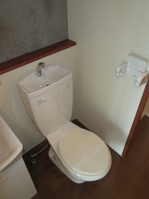 Toilet. Same property separate room