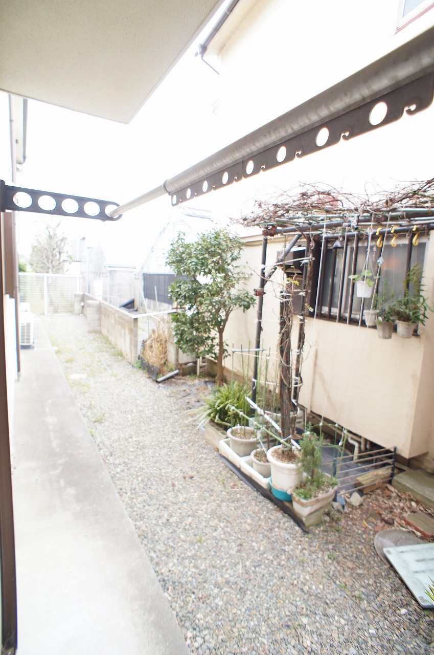 Balcony. Terrace space