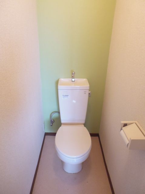 Toilet. Stylish accent Cross of Green.