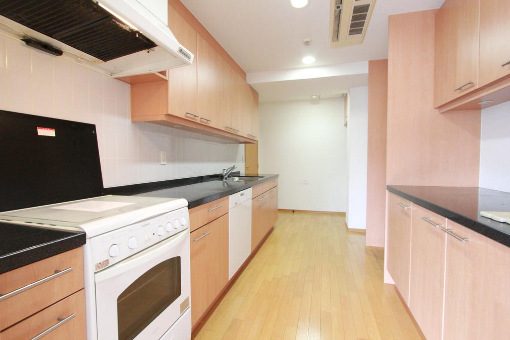 Kitchen. House is cleaning before photo of.