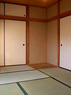 Living and room. It is a rare Japanese-style room