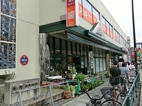 Other. Maruetsu store middle shop