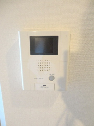 Security. LCD with intercom