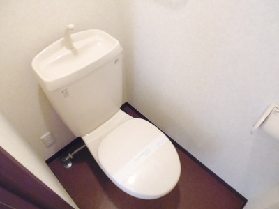 Toilet. Toilet