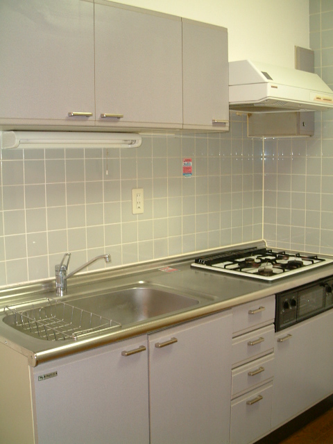 Kitchen. System kitchen (gas three-necked)