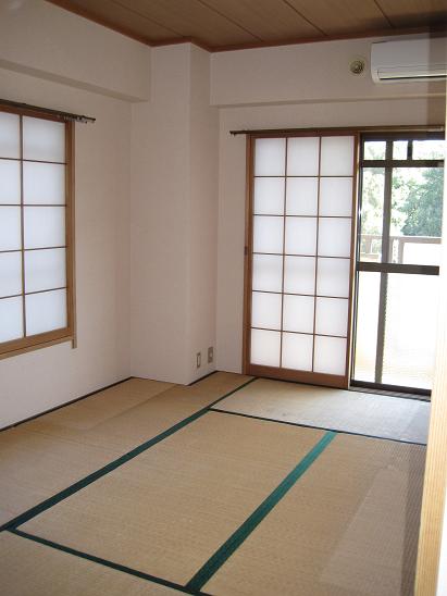 Living and room. Sunny Japanese-style room