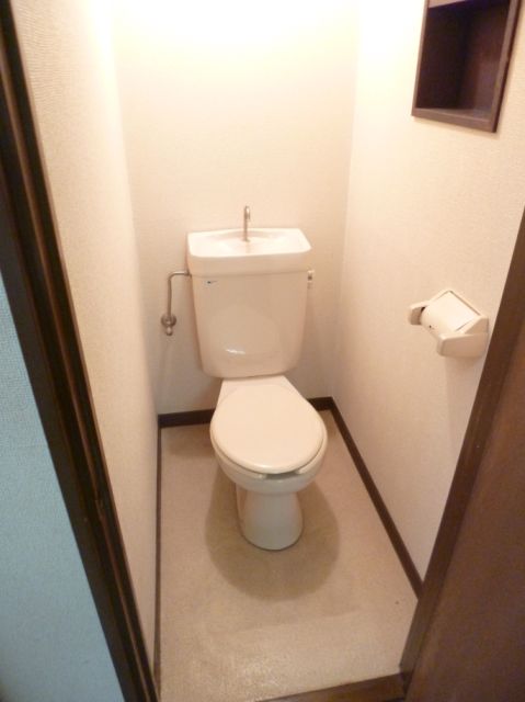 Toilet. It is a beautiful toilet.