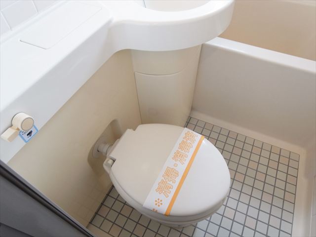 Toilet. 3-point unit type of hotel type