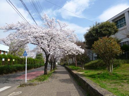 park. Kitami green road until the (park) 207m