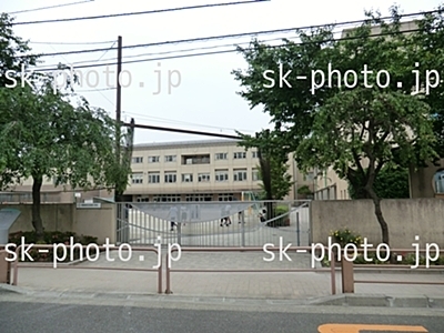 Junior high school. 617m to Setagaya Ward Kinutaminami junior high school (junior high school)