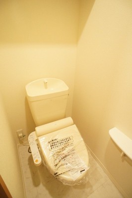 Toilet. Complete cleaning toilet seat! Clean and spend it on a daily basis ☆ 