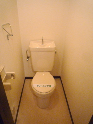 Toilet. Toilet