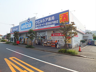 Dorakkusutoa. Uerushia Setagaya Chitosedai shop 1195m until (drugstore)