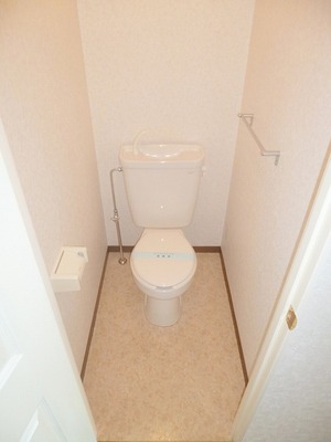 Toilet. Toilet